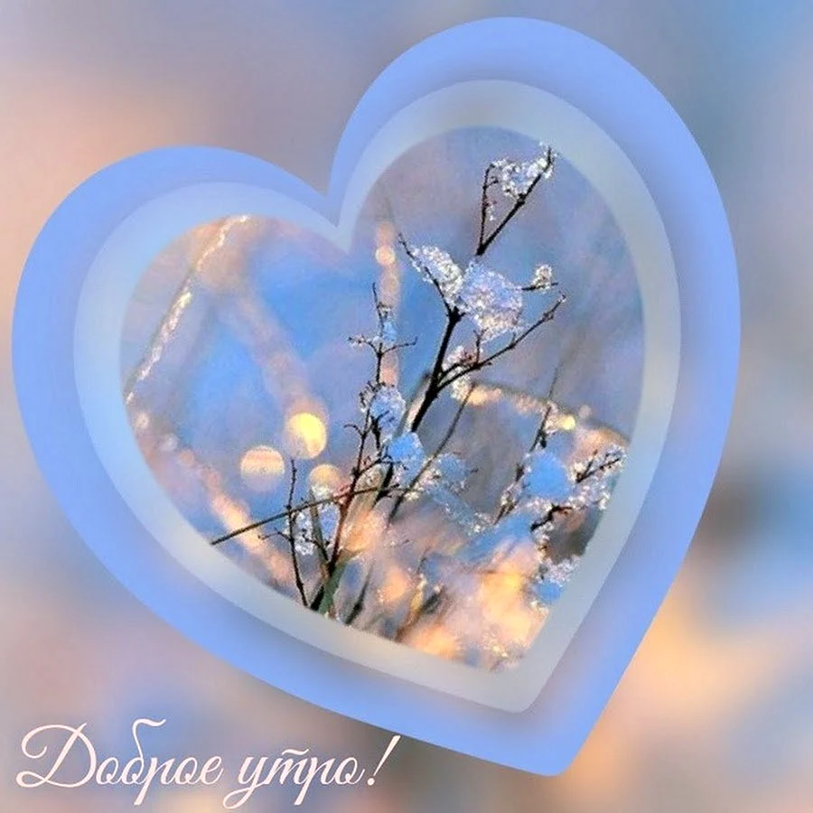 Доброе зимнее утро