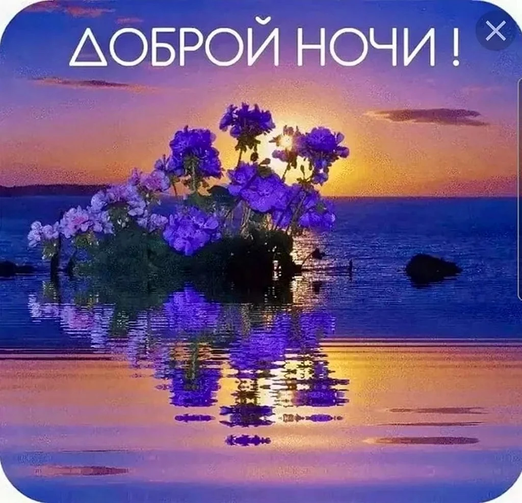 Доброй летней ночи