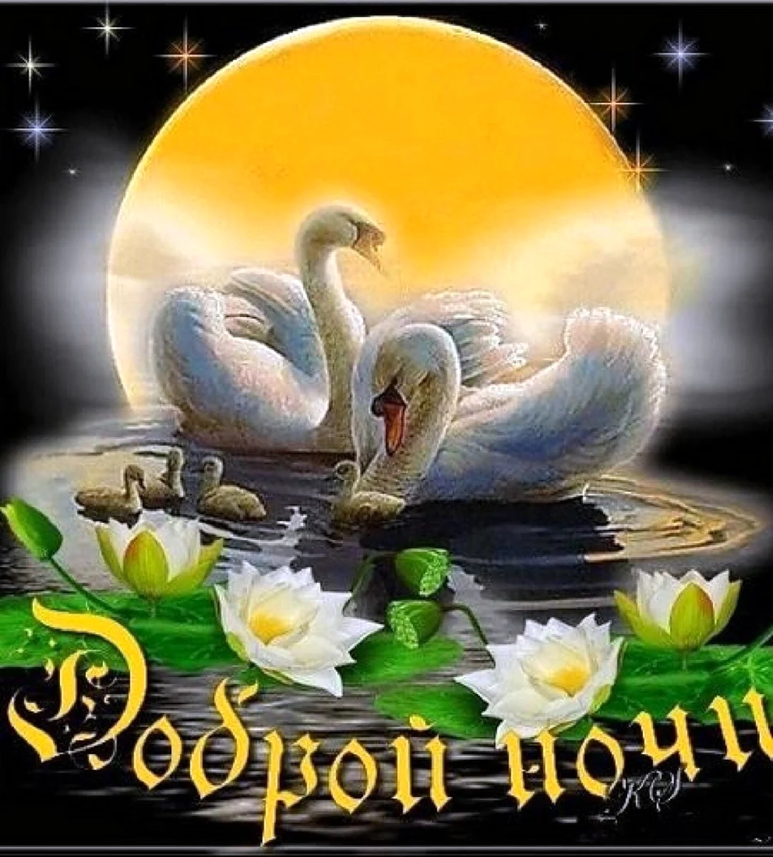 Доброй ночи