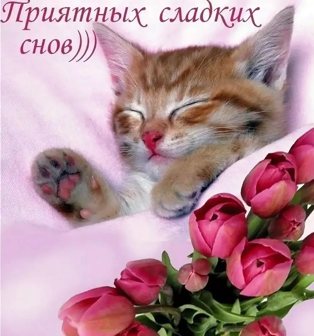 Доброй ночи сладких снов