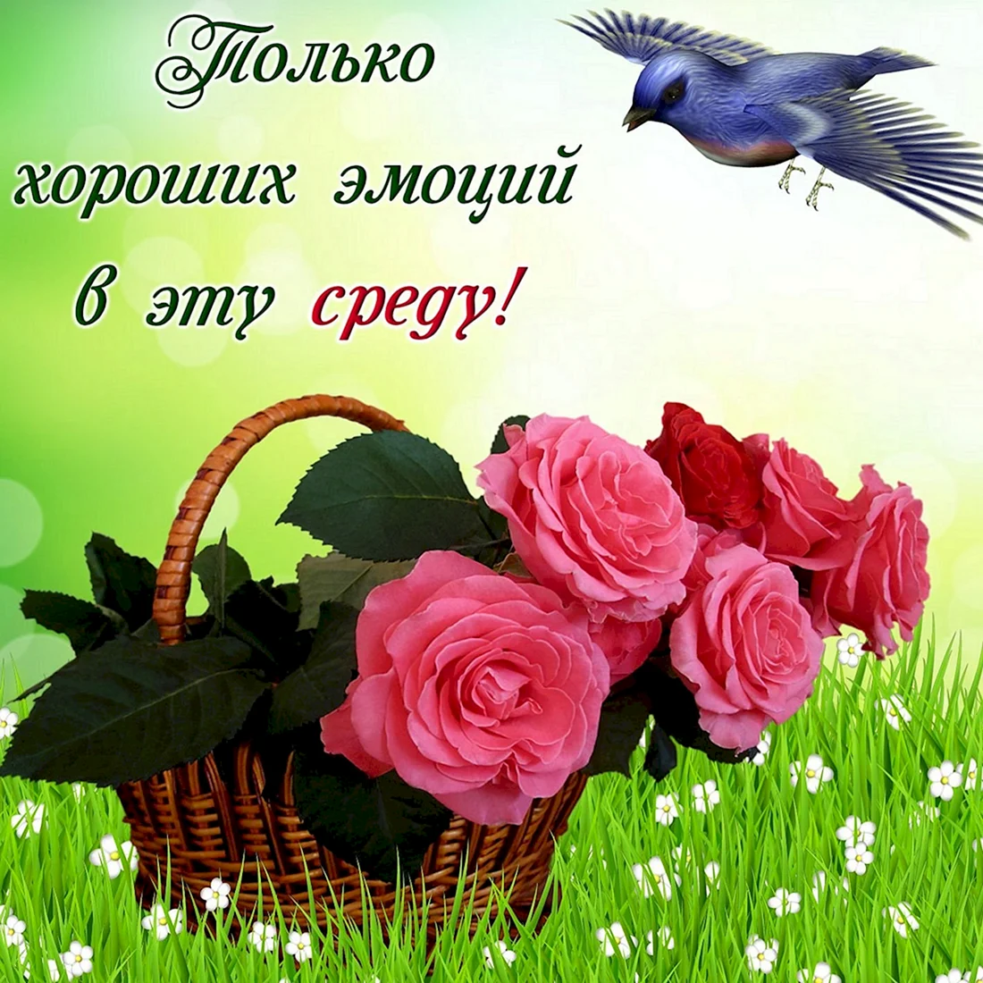 Добрые пожелания