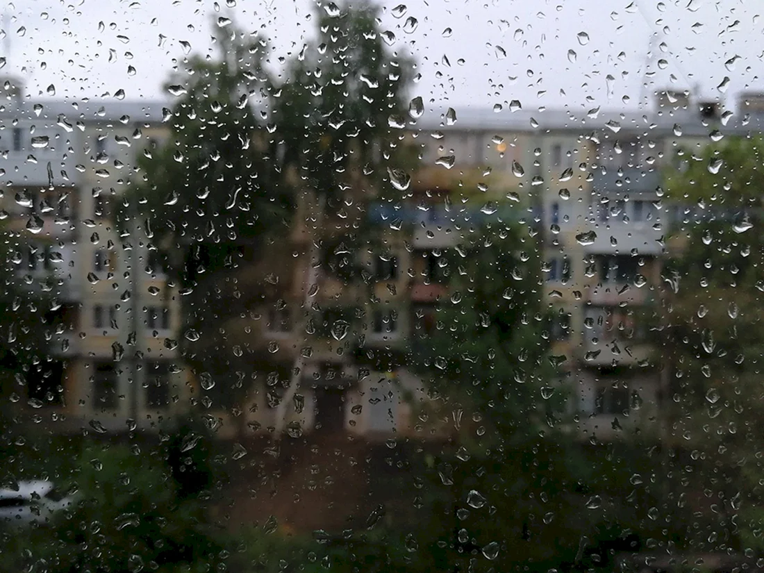 Дождь за окном