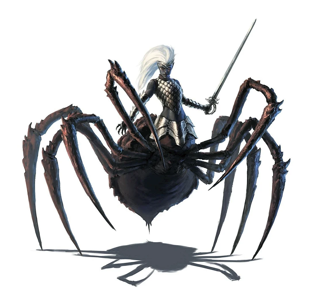 Драук Drider