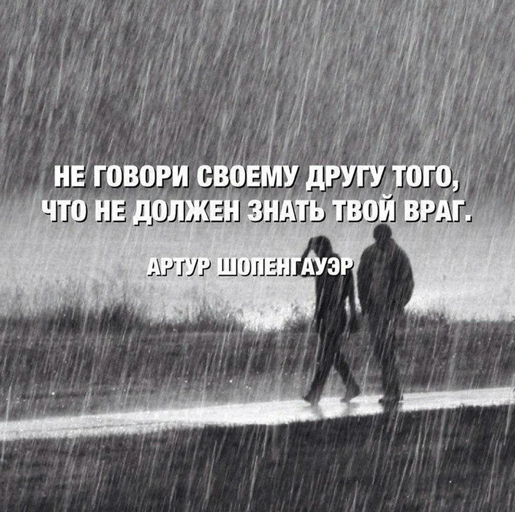 Друзья хуже врагов цитаты