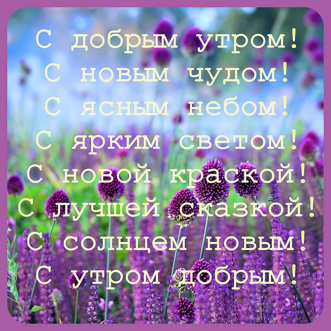 Душевные пожелания с добрым утром