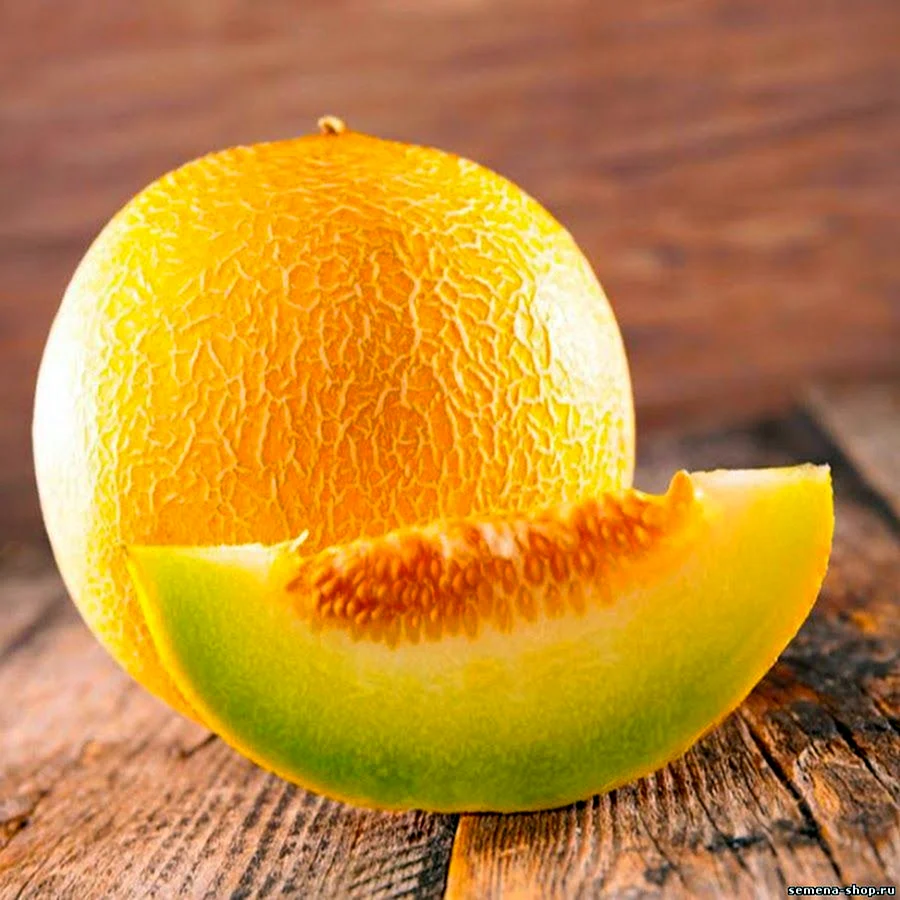 Дыня Honeydew
