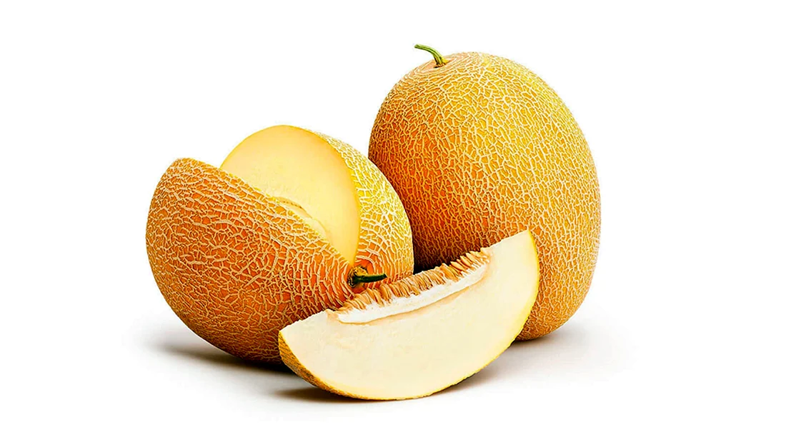 Дыня колхозница зеленая
