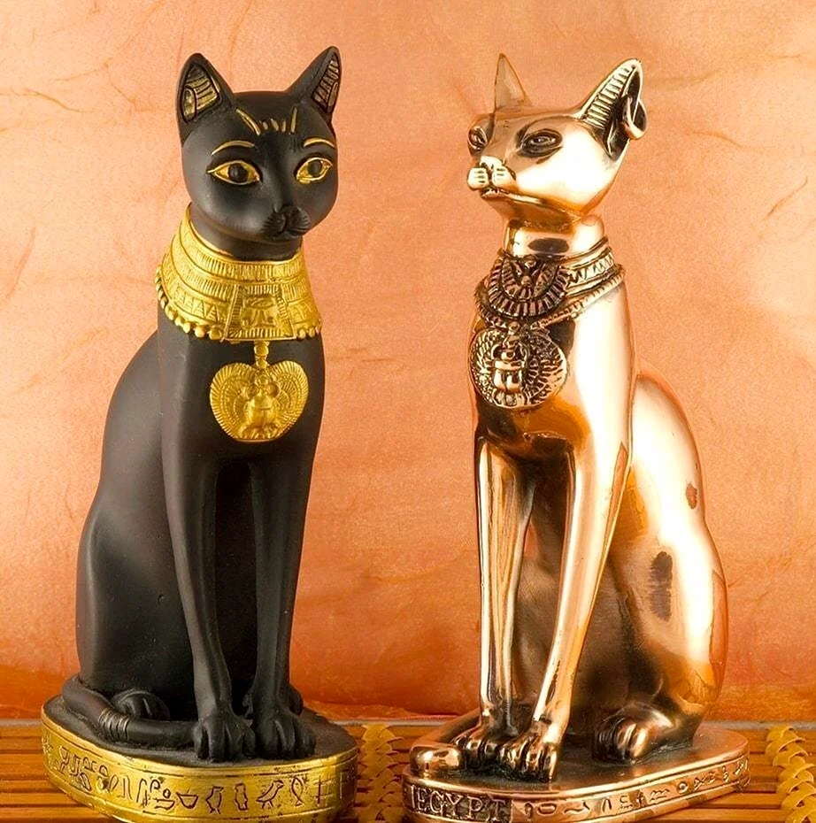 Египетская кошка фулл