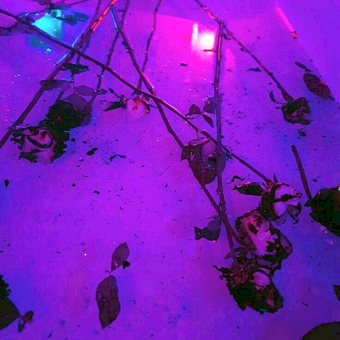 Эстетика перпл