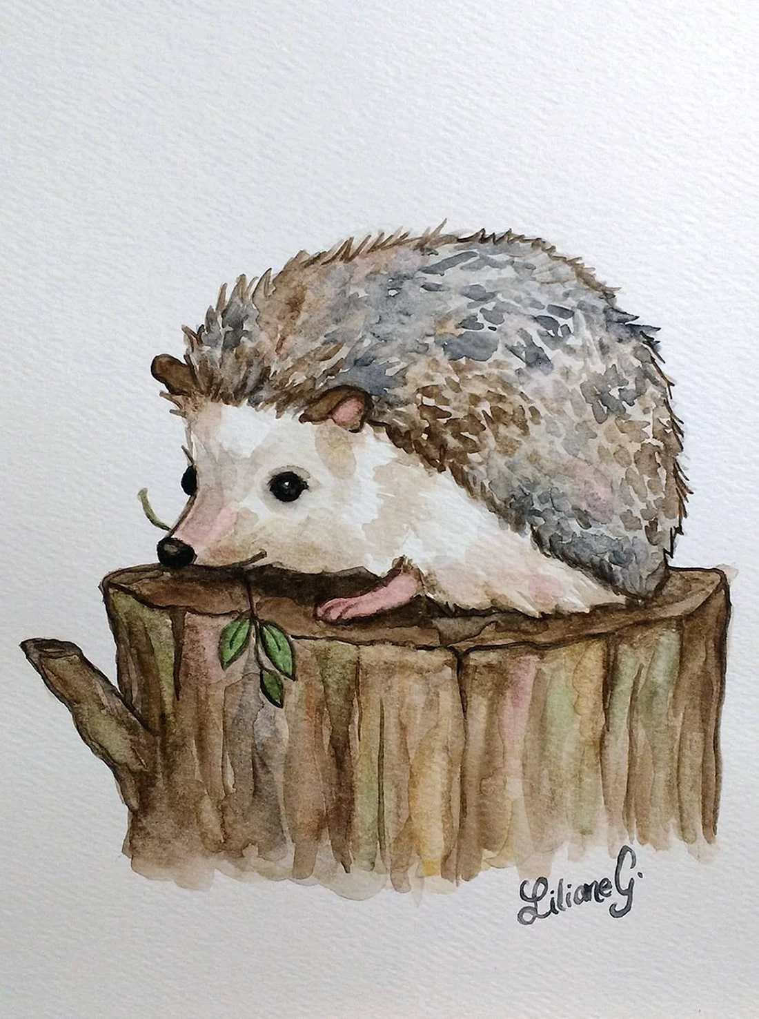 Ежик акварелью