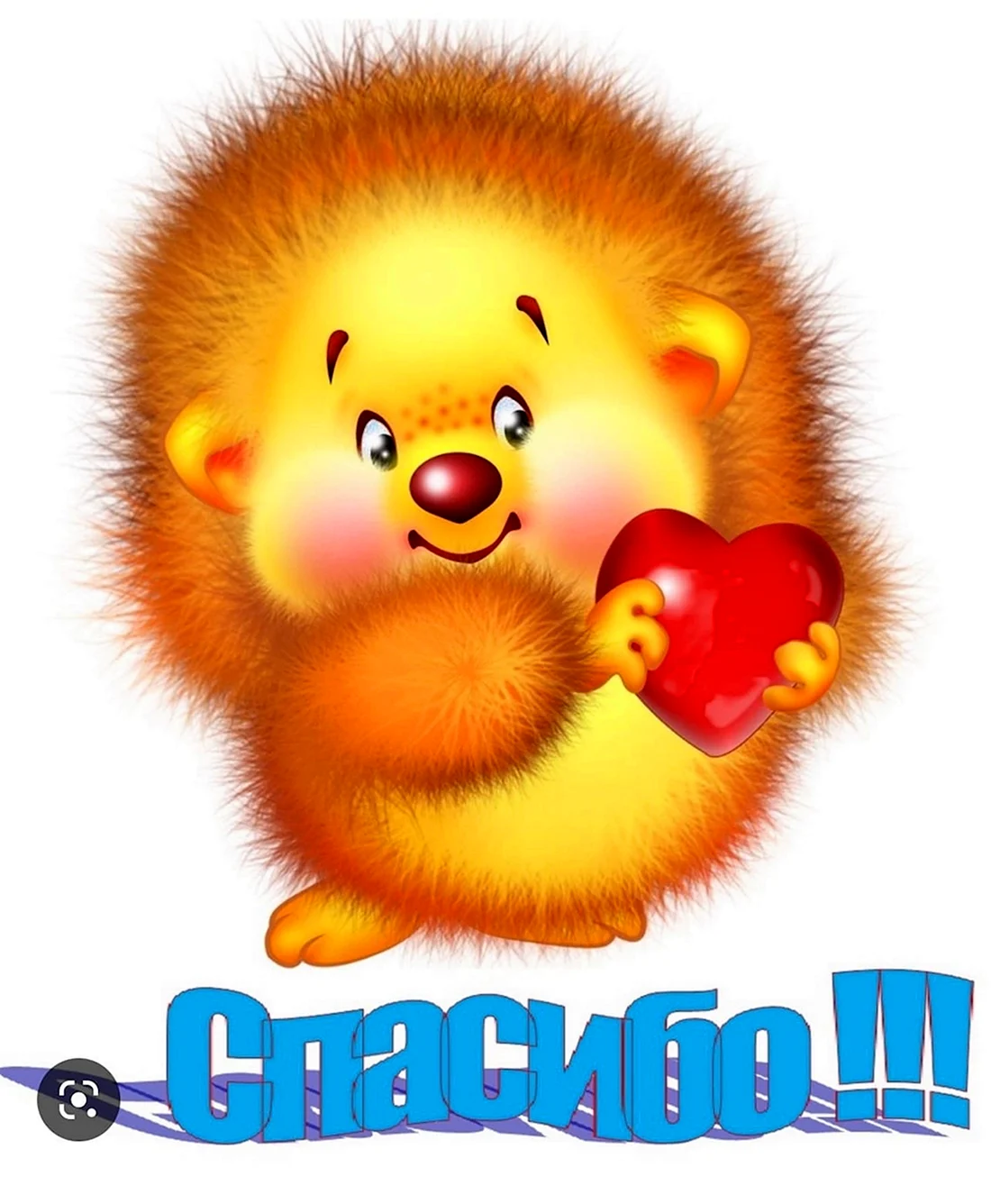 Ёжик и сердечко