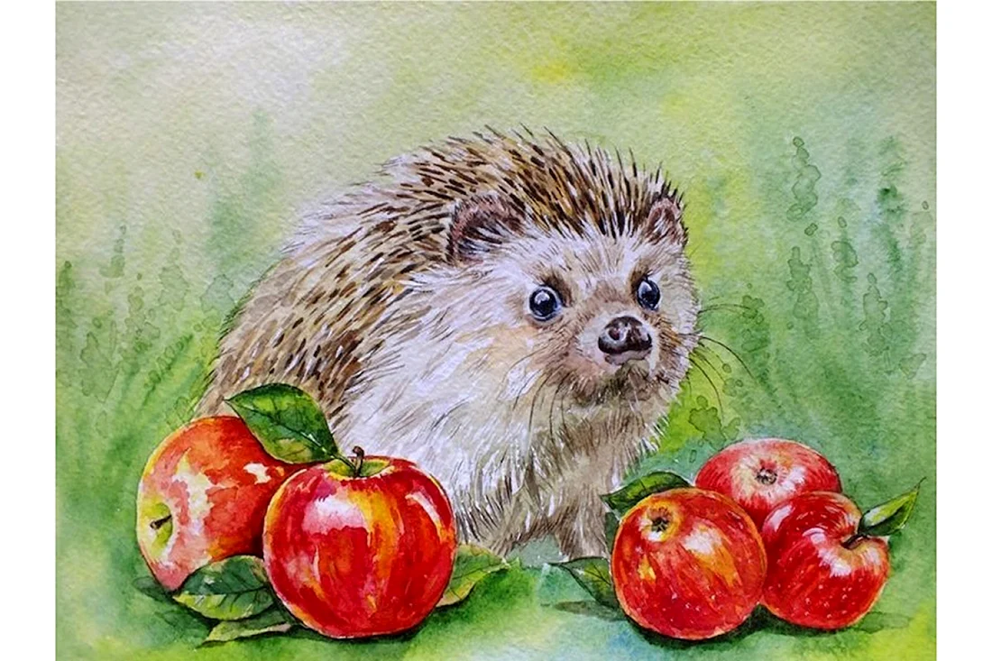 Ежик с яблоком