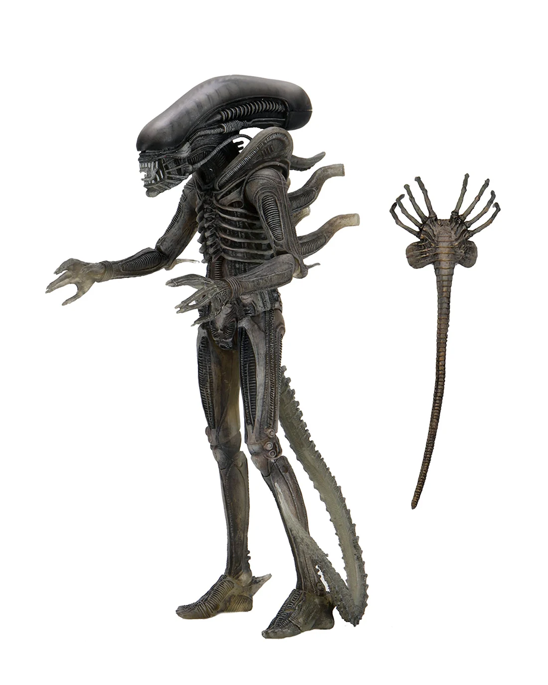 Фигурки NECA Aliens