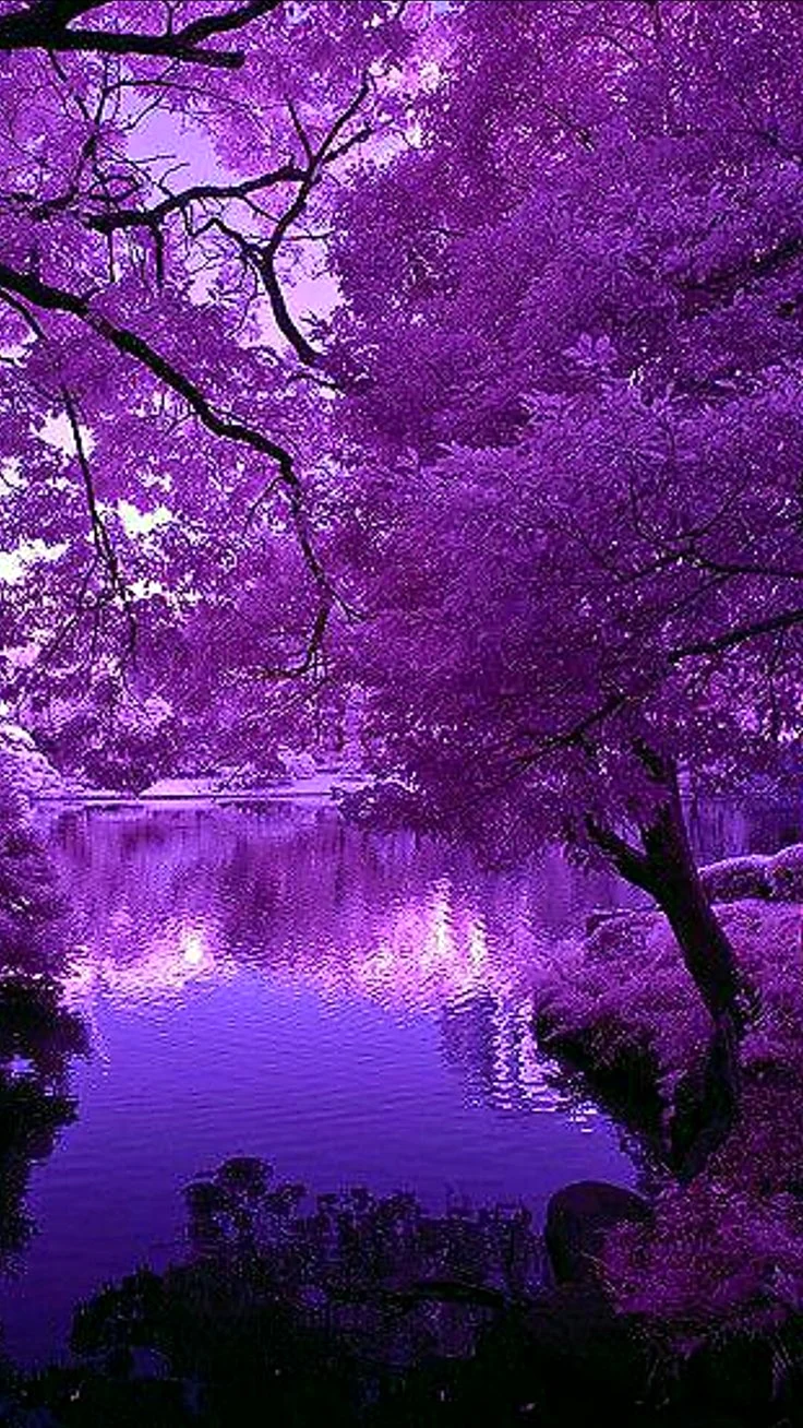 Фиолетовая природа