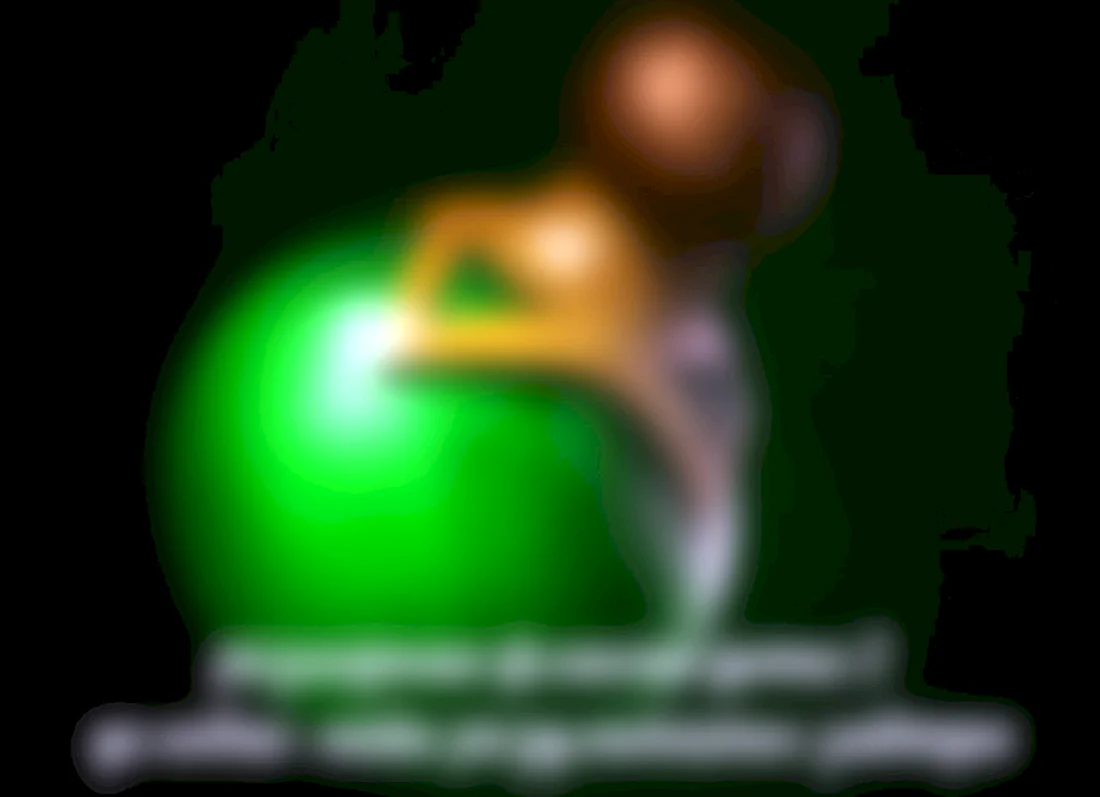 Фласка Dota 2