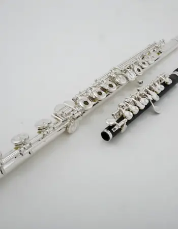 Флейта-Пикколо флейта