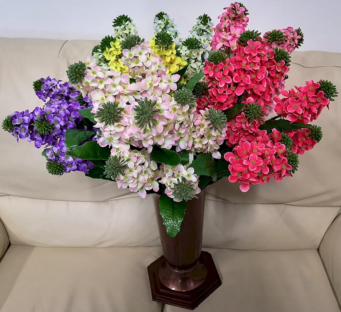 Флокс букетный