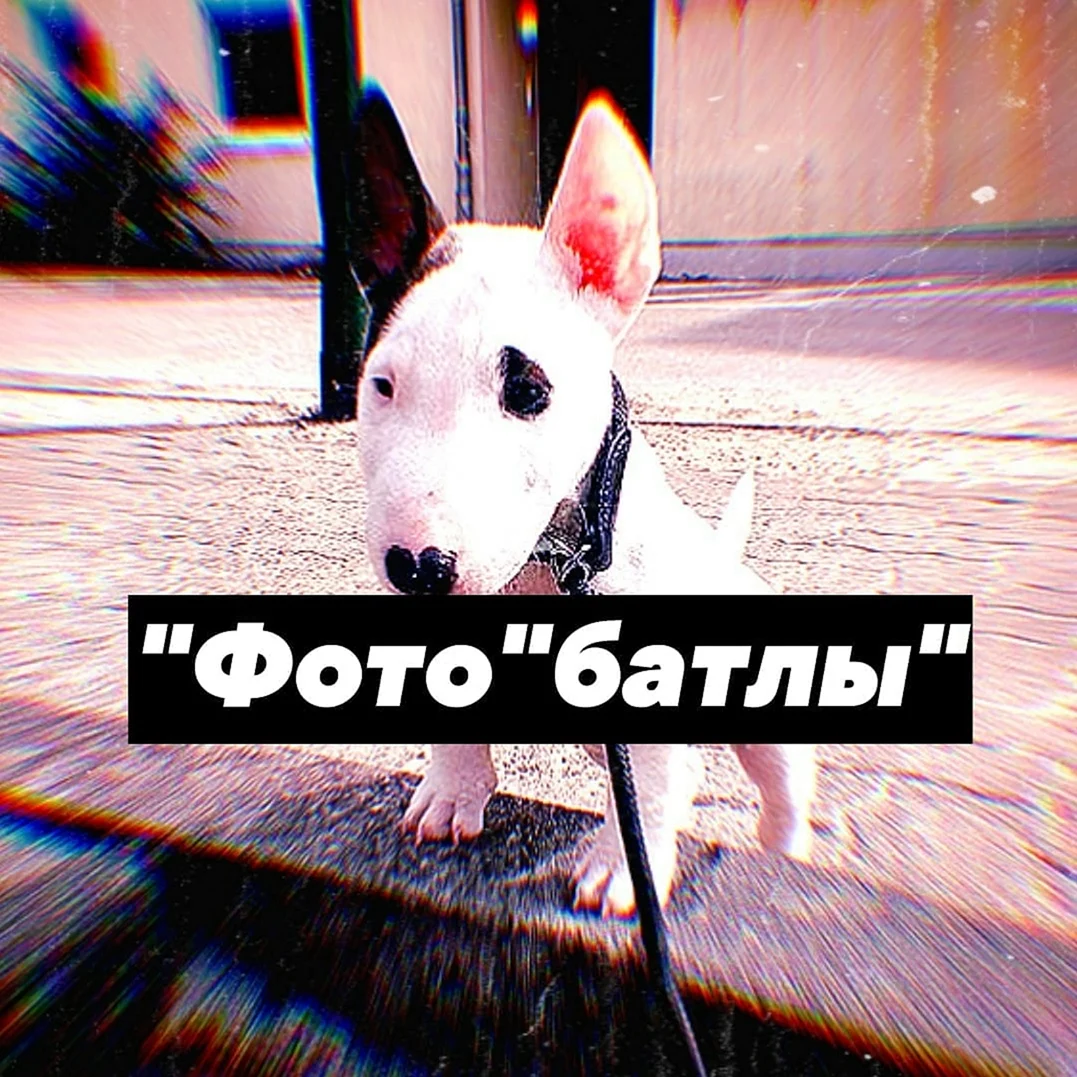 Фото батл