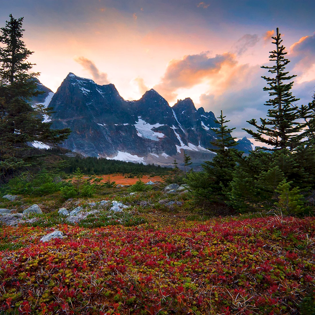 Фотограф Кевин МАКНИЛ Kevin MCNEAL