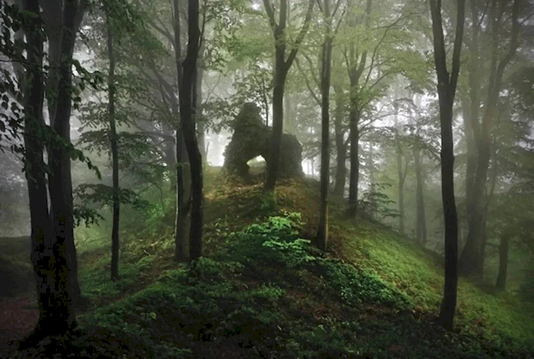 Фотограф Kilian Schönberger
