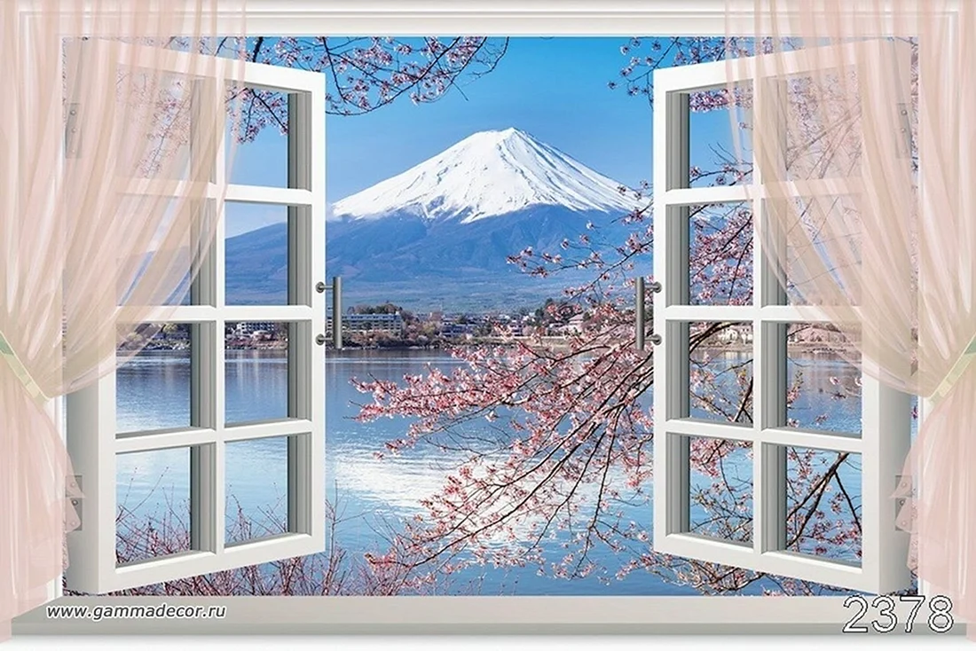 Фотообои окно