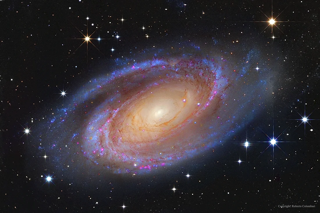 Galaxy m81