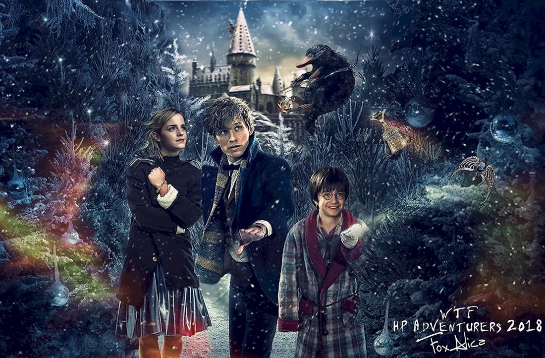 Гарри Поттер зима