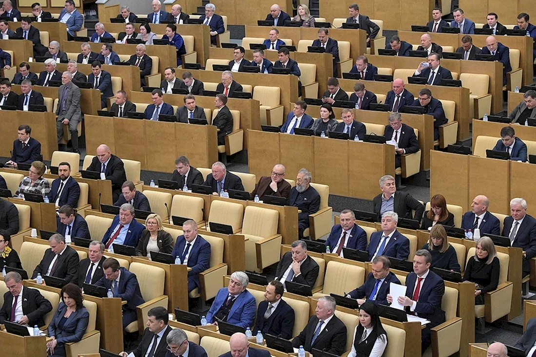 Государственная Дума 450 депутатов