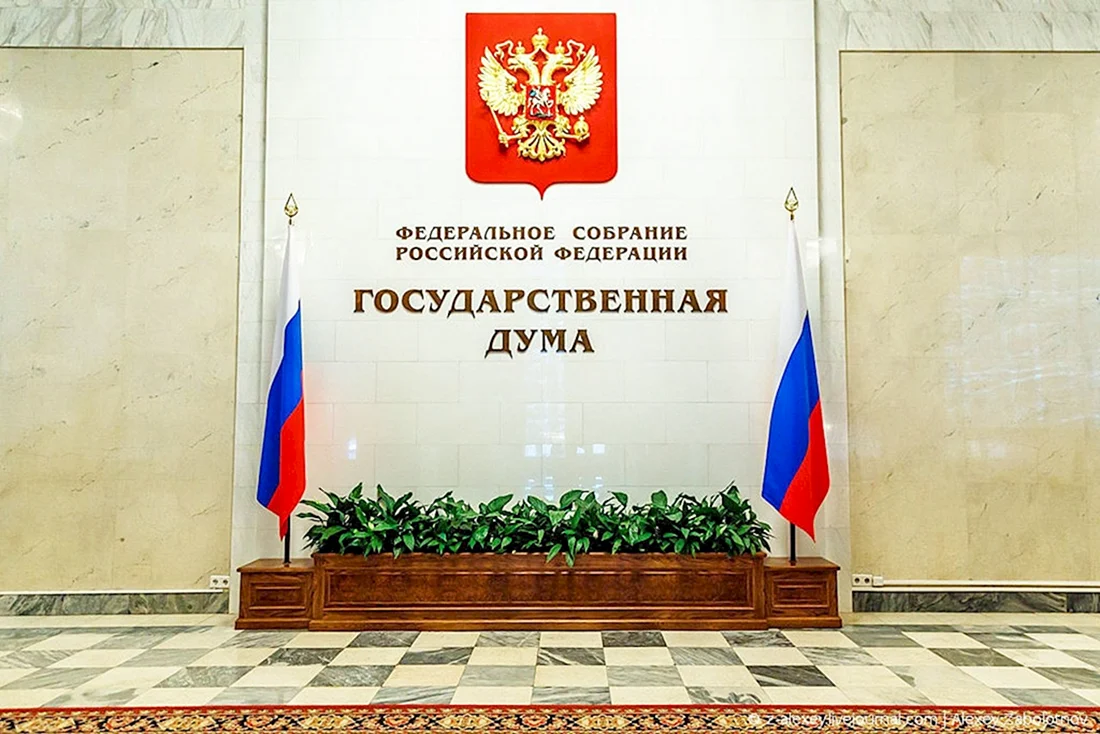 Государственная Дума ФС РФ