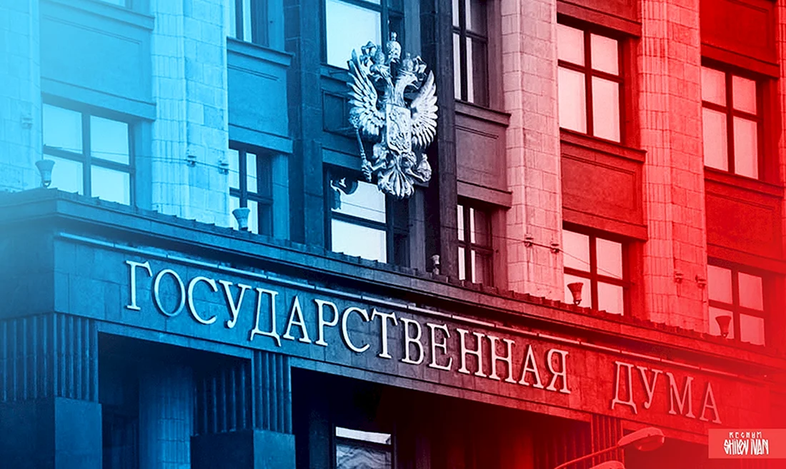 Государственная Дума РФ