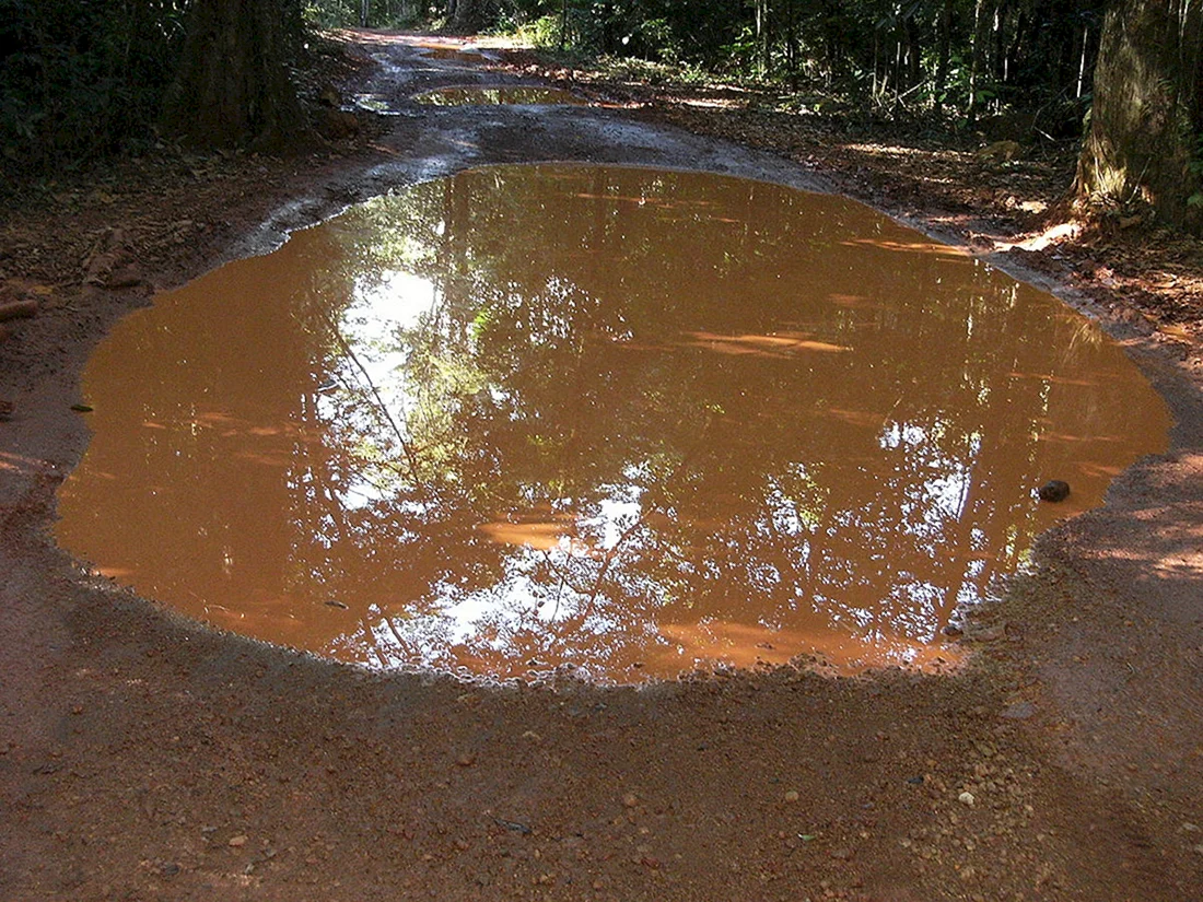 Грязная лужа