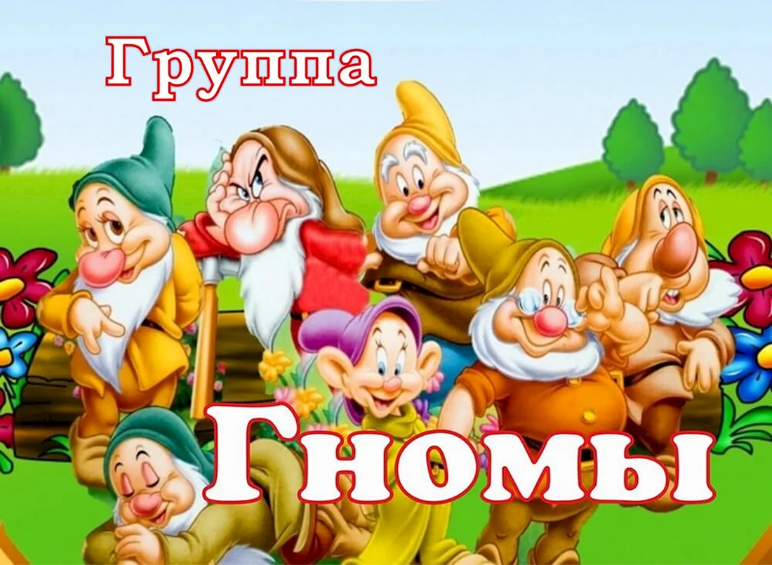 Группа гномики