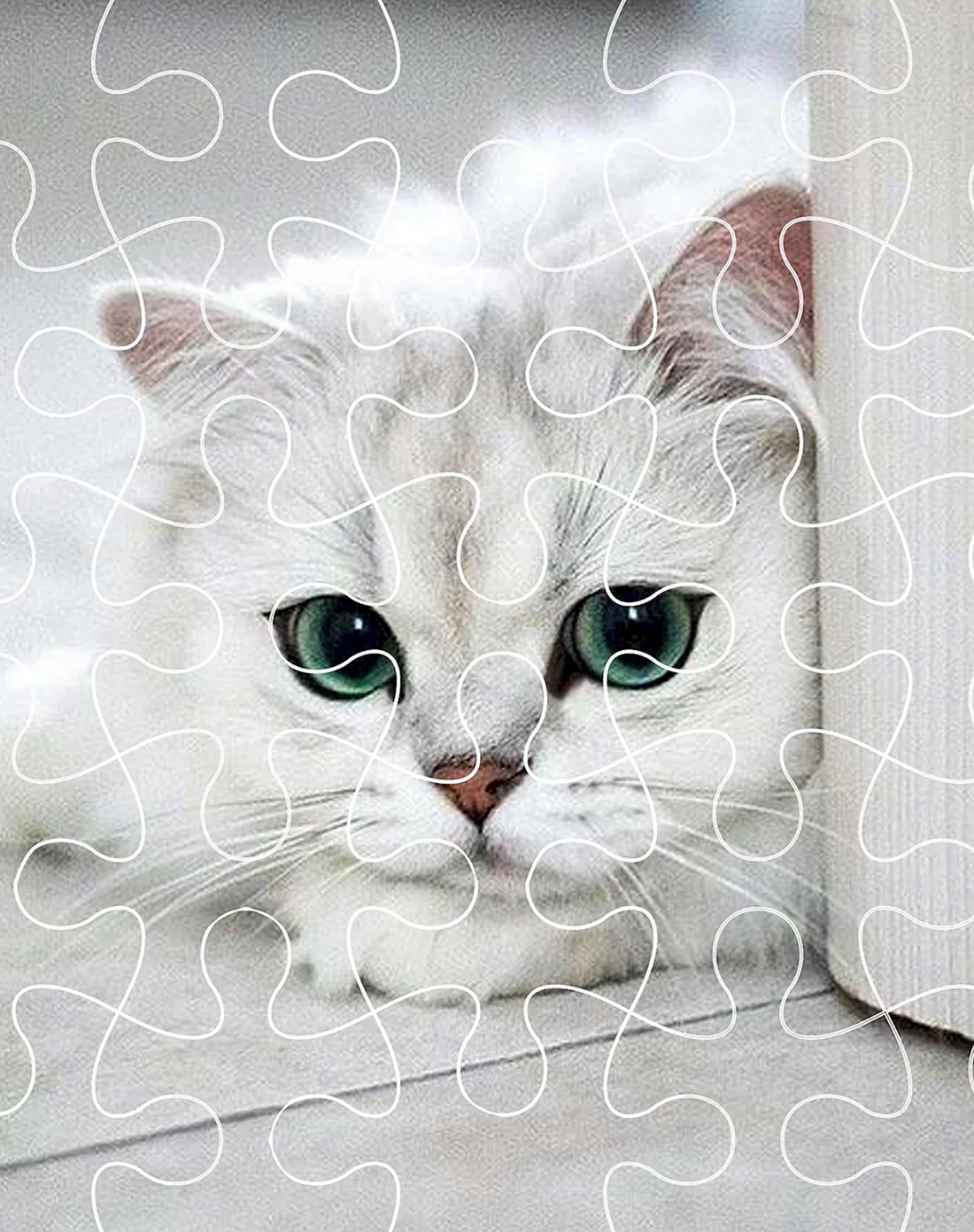 Грустная кошка