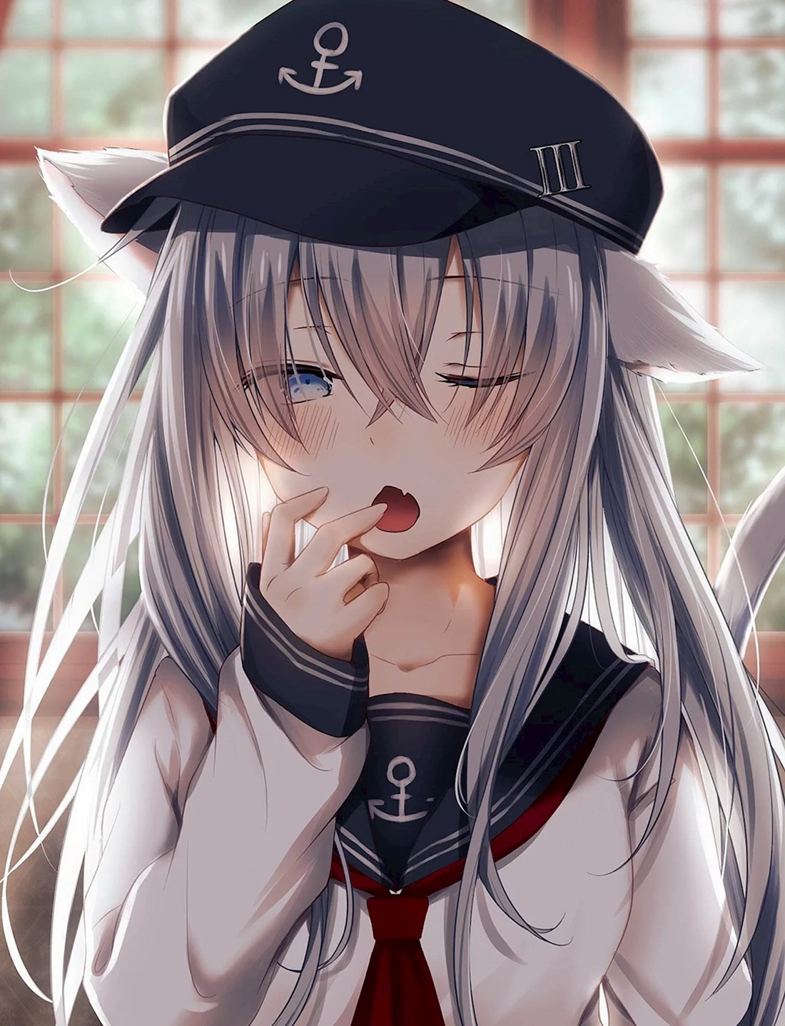 Hibiki kantai неко