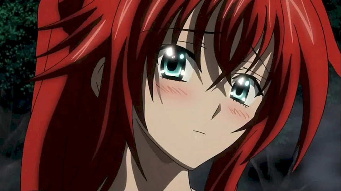 High School DXD 4 сезон Риас