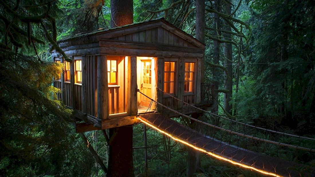 Hobbit Treehouse США