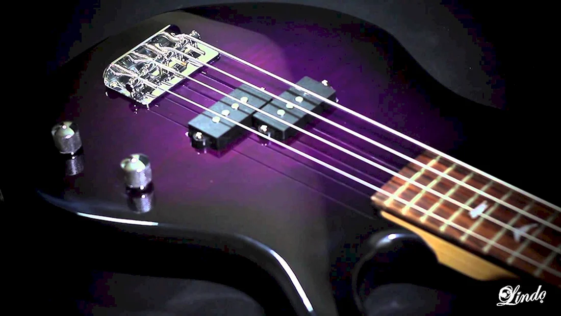 Ibanez k5 Fieldy