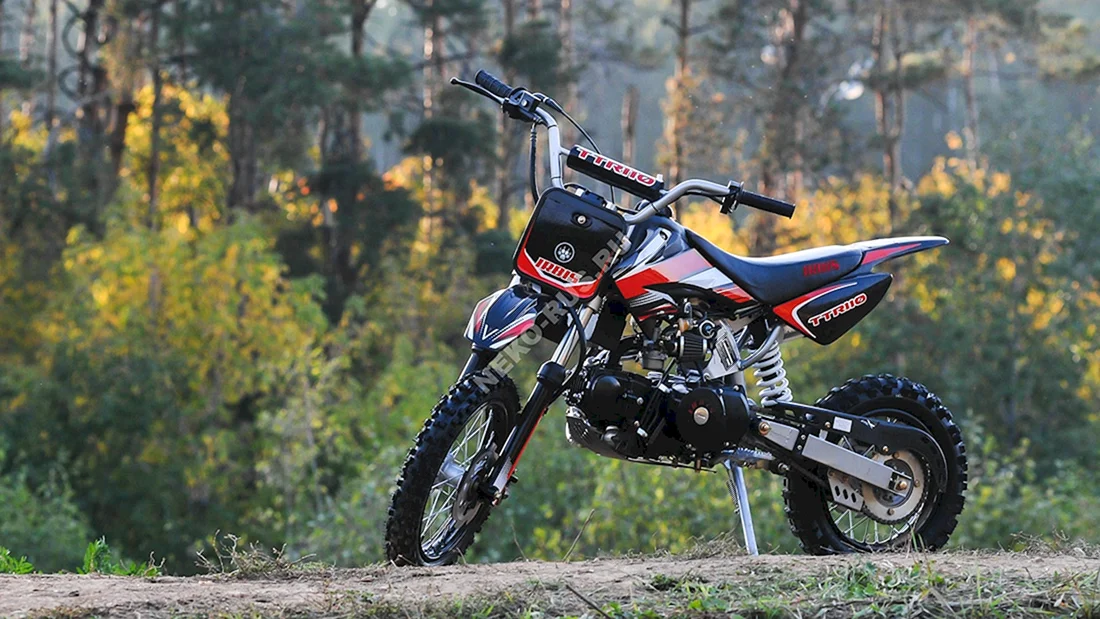 Irbis TTR 110