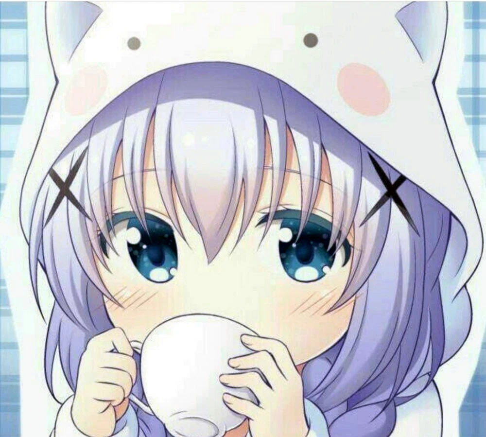 Kafuu Chino неко