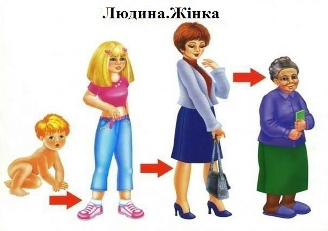Как растет человек для детей