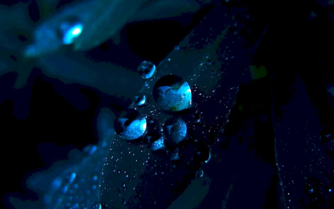 Капли воды