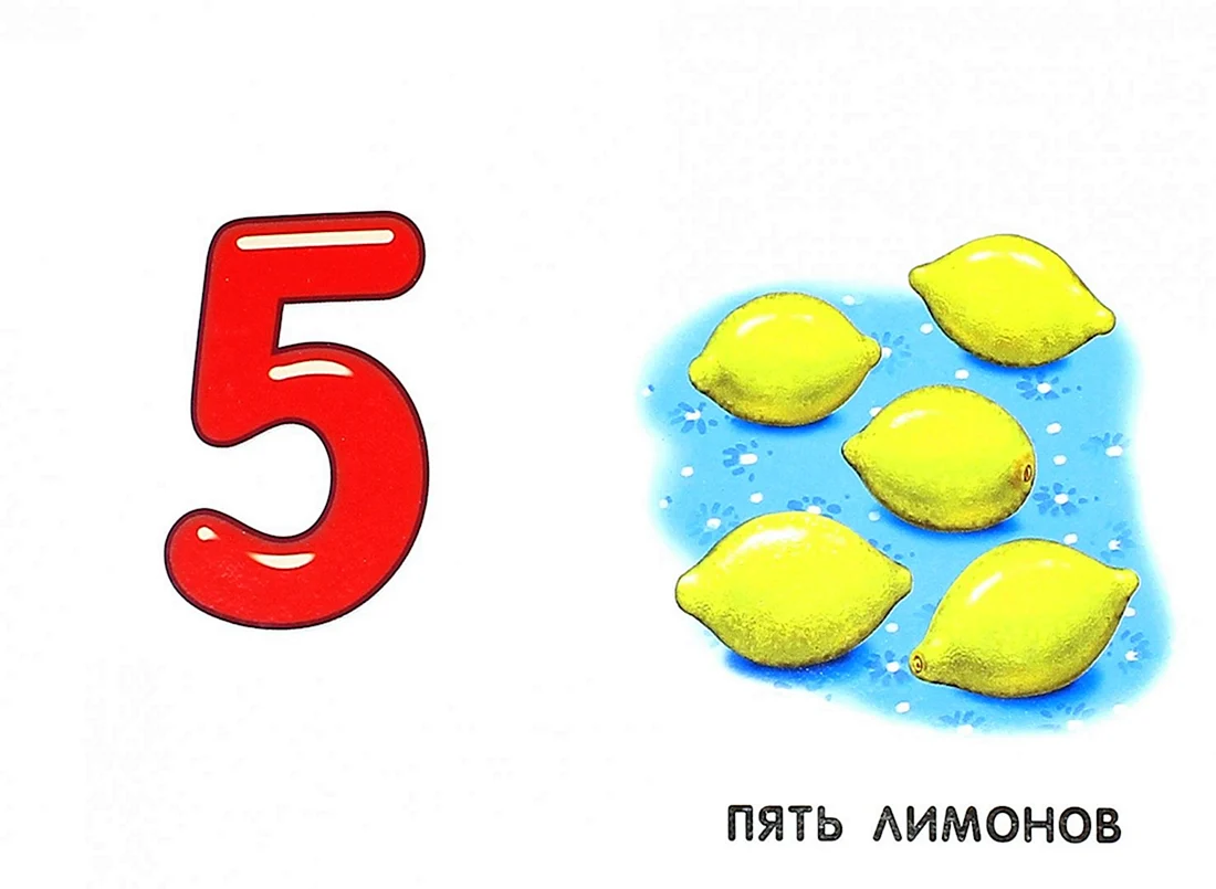 Карточки счет для детей