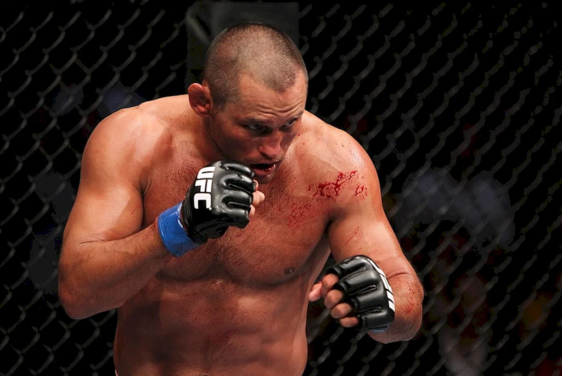 Хендерсон UFC