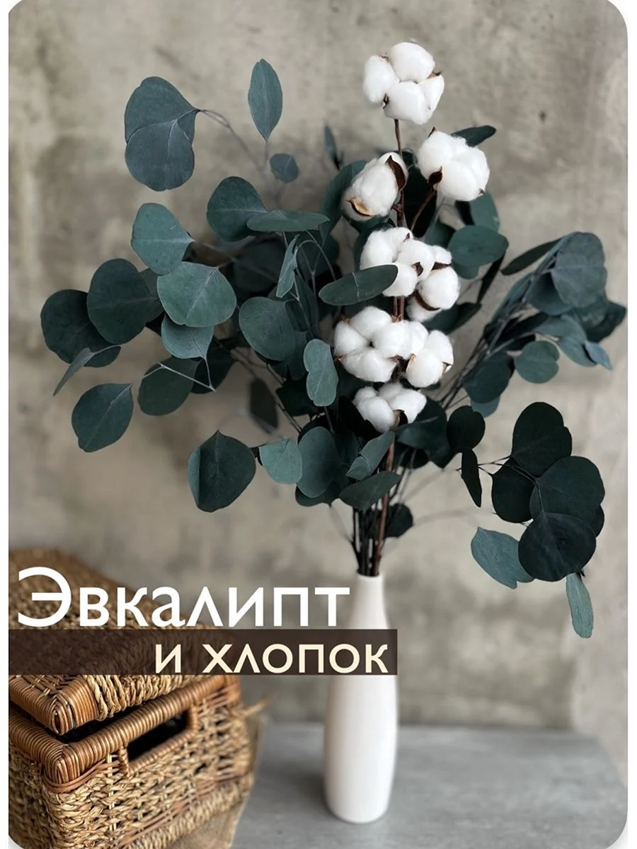 Хлопок и эвкалипт фон