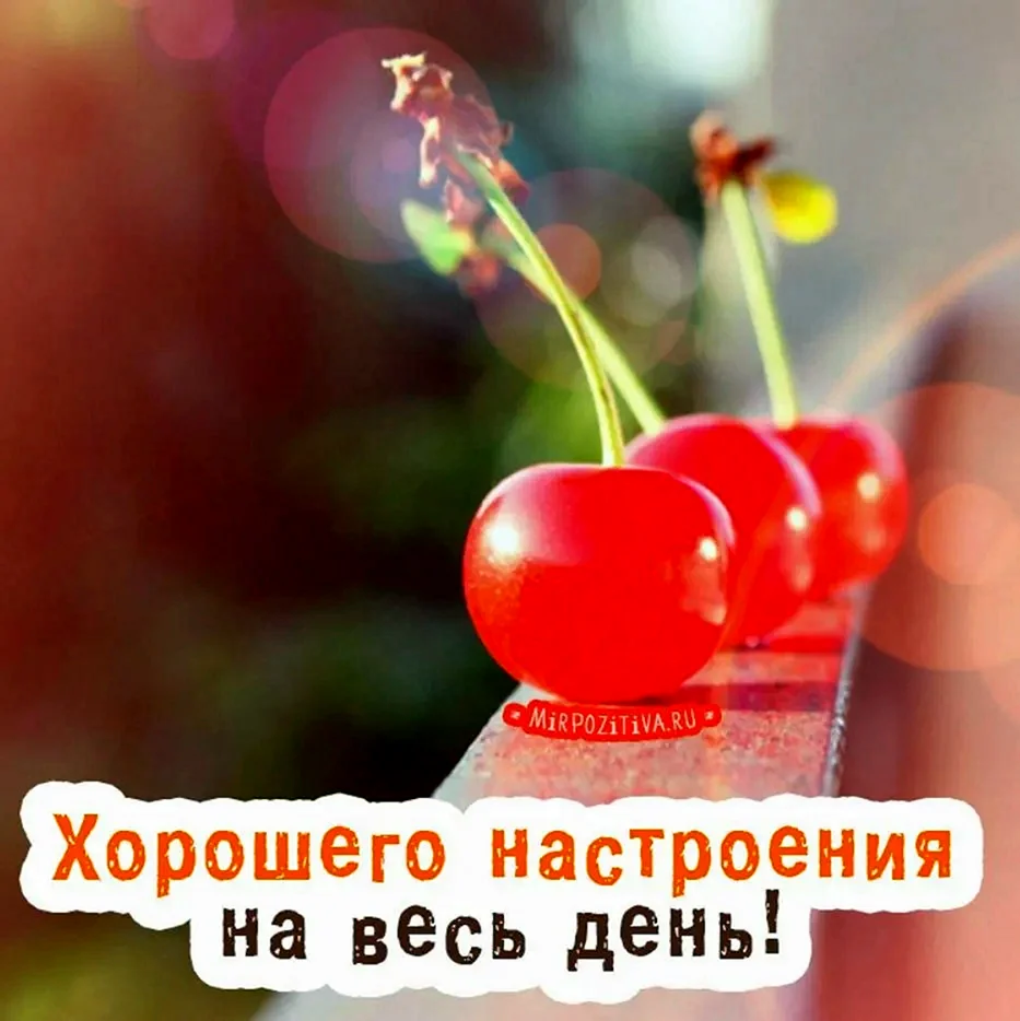 Хорошего дня и настроения