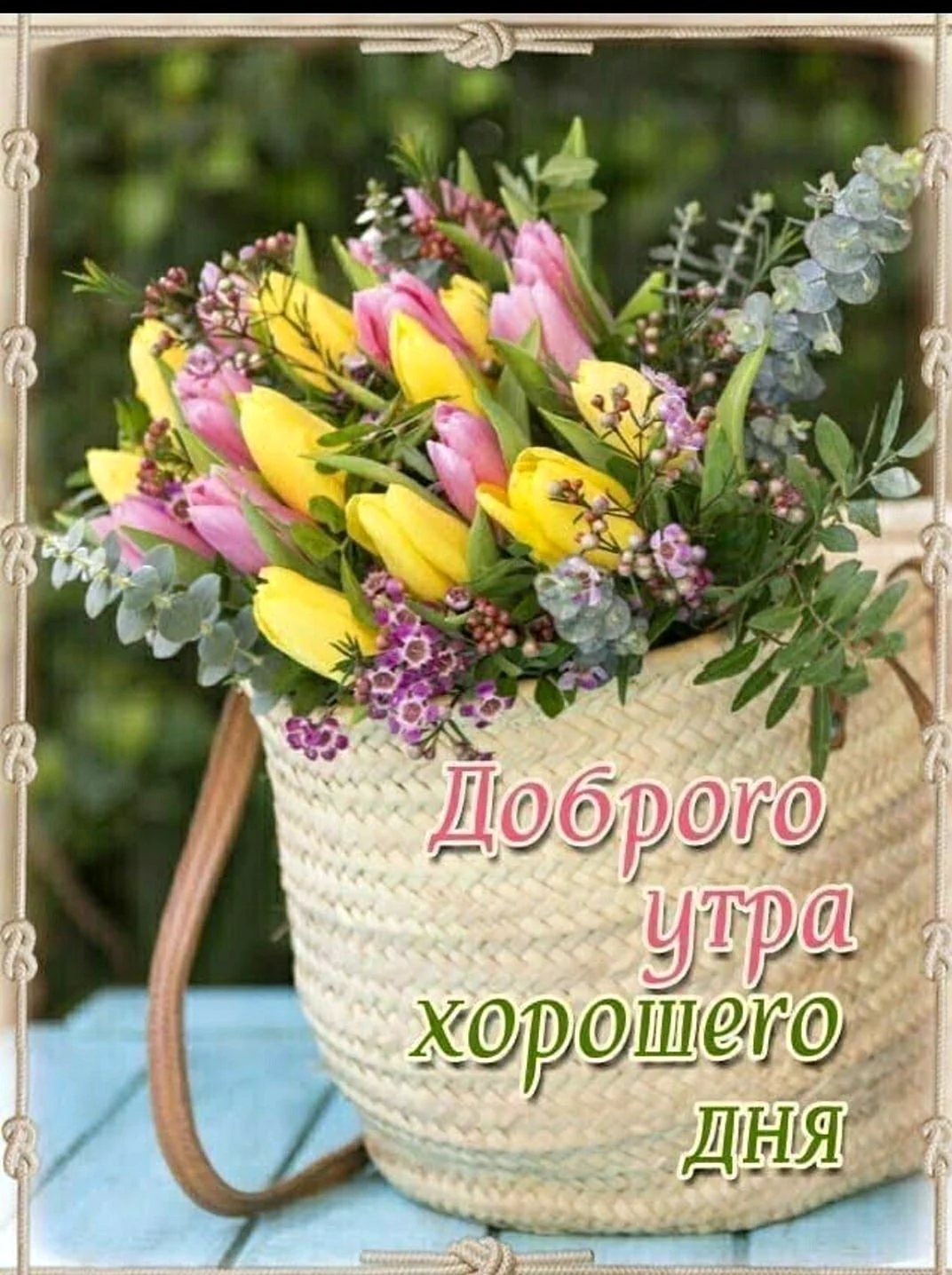 Хорошего дня и отличного настроения