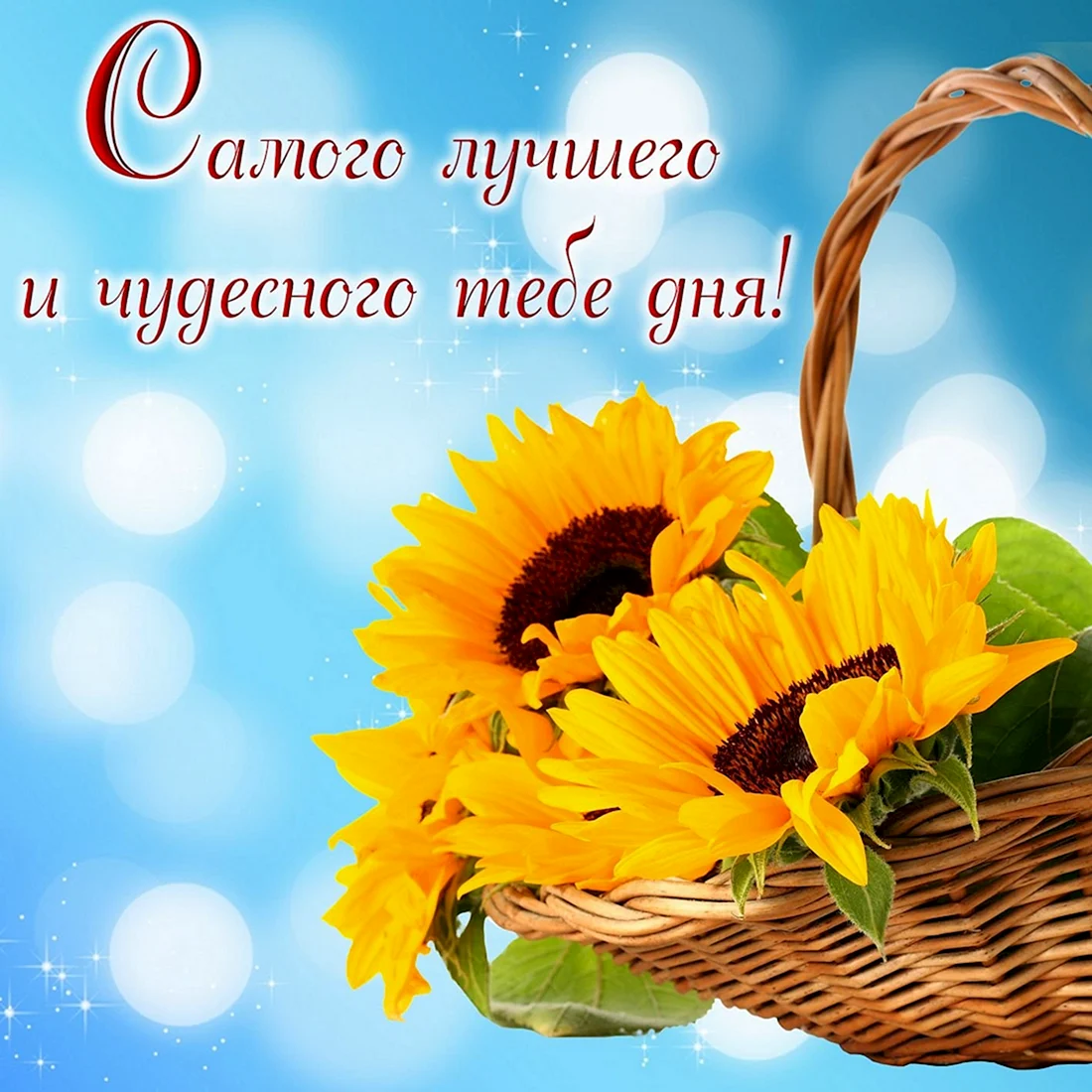 Хорошего дня и отличного настроения