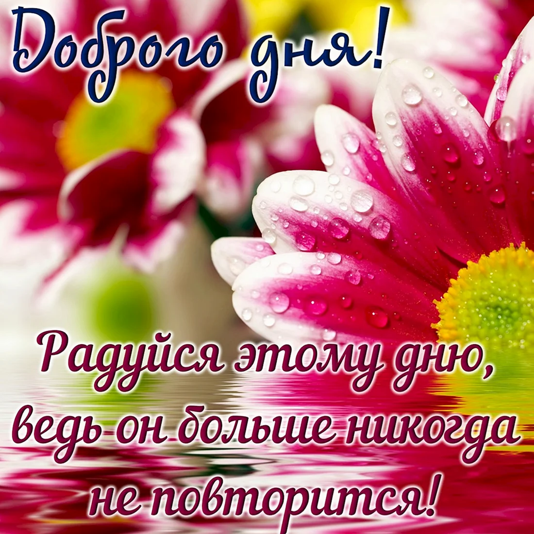 Хорошего дня и отличного настроения