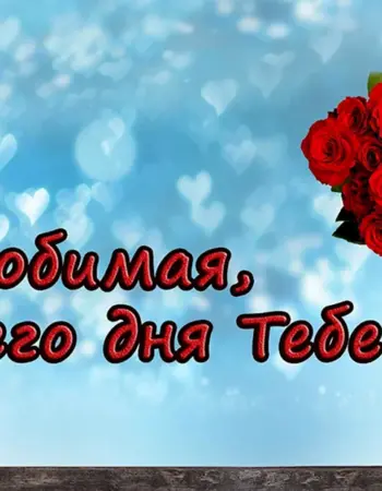 Хорошего дня любимая