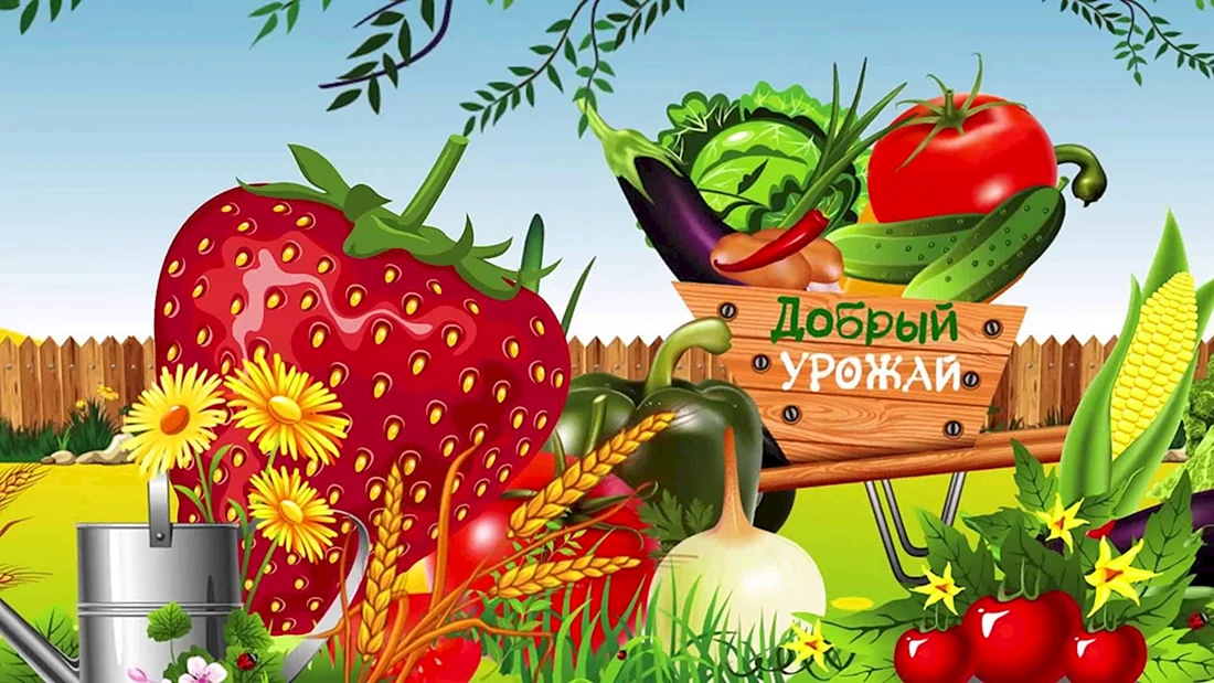 Хороший урожай